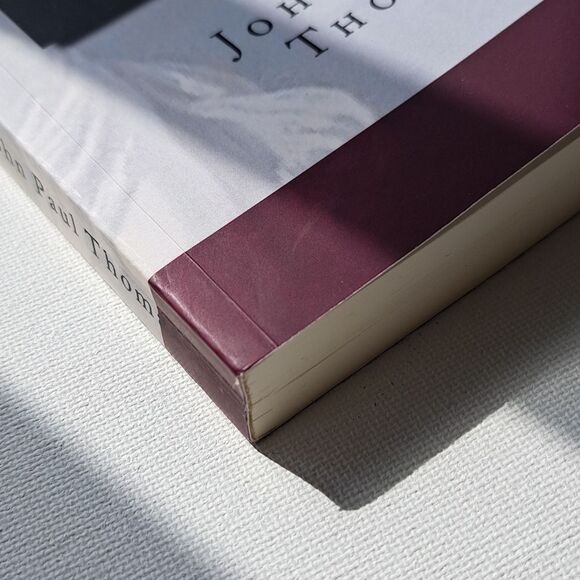 Lent & Easter Reflections Catholic Daily Reflections Series By John Paul Thomas - Picture 3 of 6